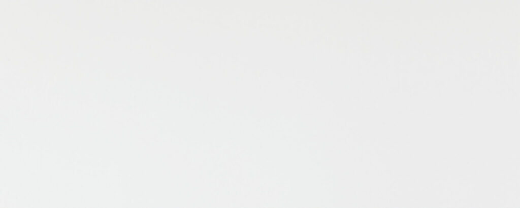 Faïence murale BLANCO 20x50