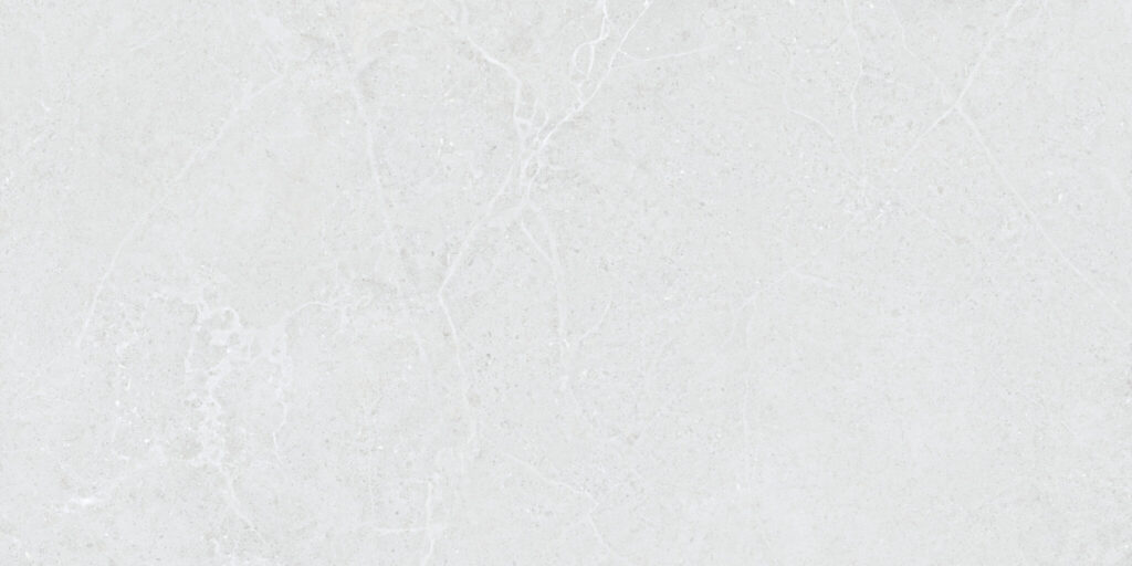 Carrelage imitation béton White NORWICH 60x120