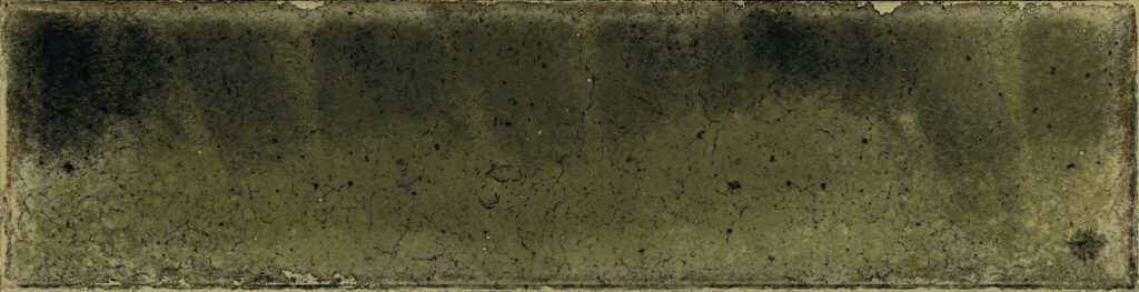 Zellige Olive JAZBA 6x24,6