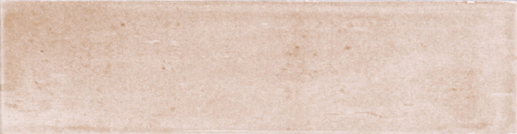 Zellige Coral NALA 6x24,6