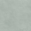 Tomettes & terre cuite Sage ALURE 25x50