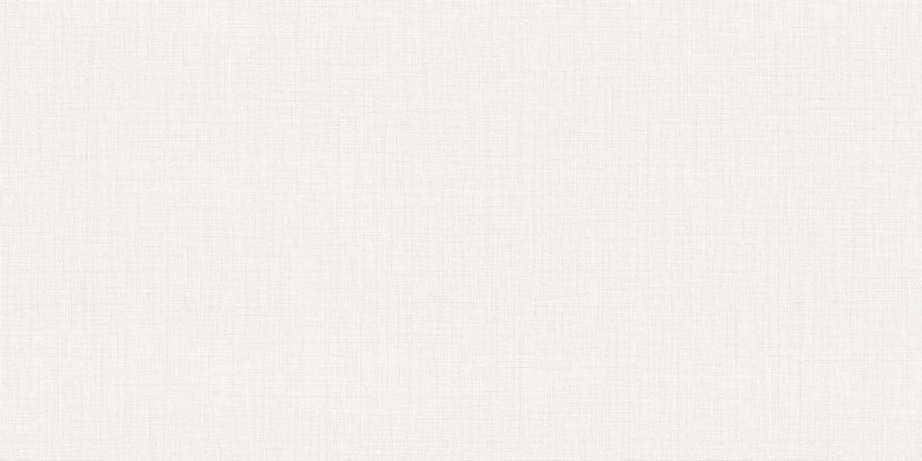 Faïence murale White VILLORE 60x120
